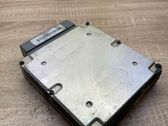 Engine control unit/module ECU