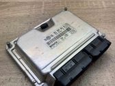 Engine control unit/module ECU