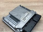 Engine control unit/module ECU