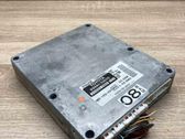 Engine control unit/module ECU