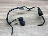 Plug wire