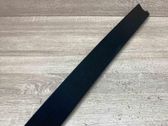 Dashboard trim