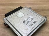 Engine control unit/module ECU