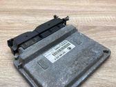 Engine control unit/module ECU