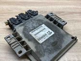 Engine control unit/module ECU