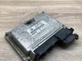 Engine control unit/module ECU