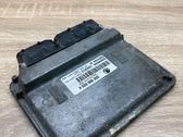Engine control unit/module ECU