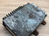 Engine control unit/module ECU