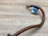 Negative earth cable (battery)