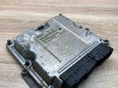 Engine control unit/module ECU