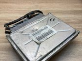 Engine control unit/module ECU