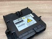 Engine control unit/module ECU