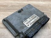 Engine control unit/module ECU