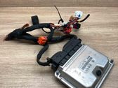 Engine control unit/module ECU