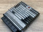 Engine control unit/module ECU