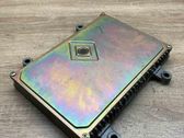 Engine control unit/module ECU