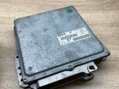 Engine control unit/module ECU
