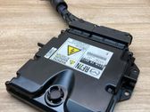 Engine control unit/module ECU