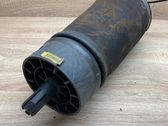 Rear air suspension bag/shock absorber