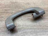 Asidero interior trasero