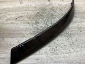 Dashboard trim