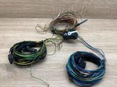 Other wiring loom