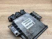 Engine control unit/module ECU