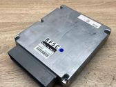 Engine control unit/module ECU