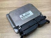 Engine control unit/module ECU