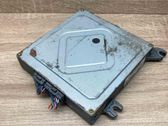 Engine control unit/module ECU