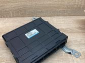 Engine control unit/module ECU