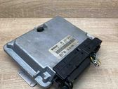 Engine control unit/module ECU