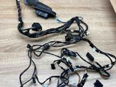 Front door wiring loom