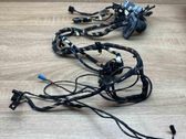 Front door wiring loom