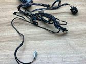 Rear door wiring loom
