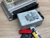 Engine control unit/module ECU