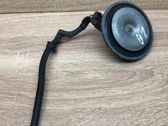 Horn signal