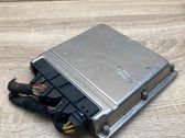 Engine control unit/module ECU