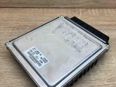 Engine control unit/module ECU