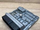 Engine control unit/module ECU