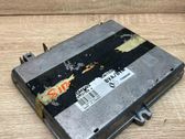 Engine control unit/module ECU