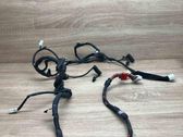 Tailgate/trunk wiring harness