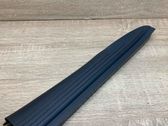 Rear sill trim cover