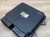 Engine control unit/module ECU