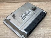 Engine control unit/module ECU