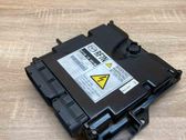 Engine control unit/module ECU