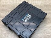 Engine control unit/module ECU