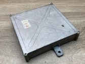 Engine control unit/module ECU