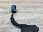 Plug wire