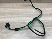Other wiring loom